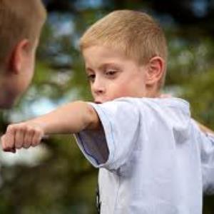 Bullying - what should we do?