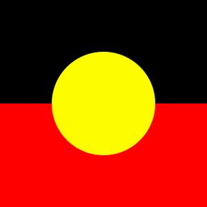 Should indigenous cultures be given more attention?
