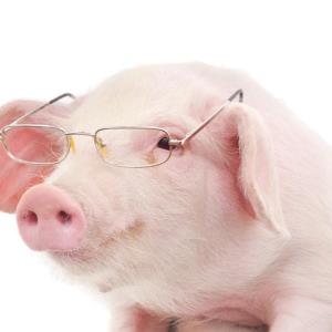NATIONAL DAY OF ACTION AGAINST FACTORY FARMING: Does it matter to you?