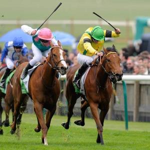 VxPoD (308) : ANIMAL CRUELTY YOU CAN BET ON