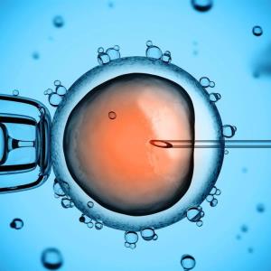 POLL of the DAY (134): THE RIGHT TO HAVE A CHILD?
